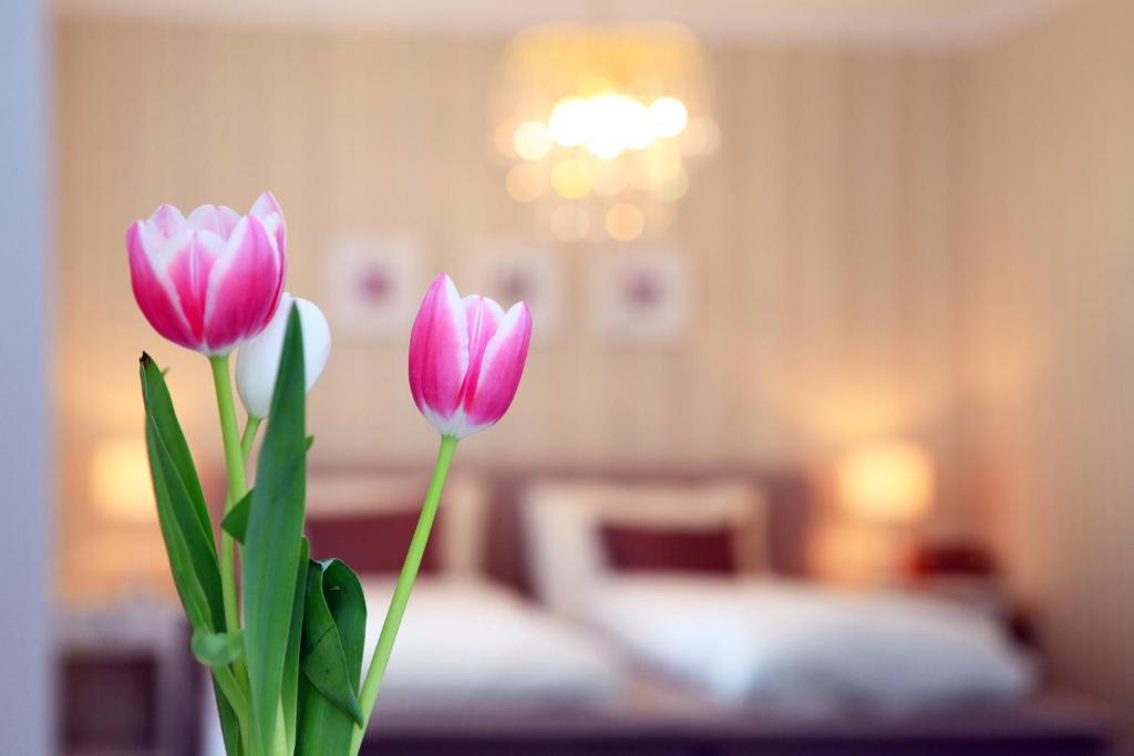 Hotel Krone Bad Ragaz Phòng bức ảnh